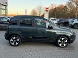 Fiat Panda Pandina Cross ***BEI ZULASSUNG BIS 31.05.2 - Fiat: 2.0