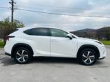 Lexus NX 300 300h E-FOUR Luxury Line Luxury Line - Lexus: Nx