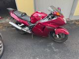 Honda Cbr 1100 xx Blackbird - HONDA CBR 1100 XX