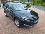 Volkswagen Tiguan Sport & Style 4Motion - : Grün, Vollleder, Geländewagen