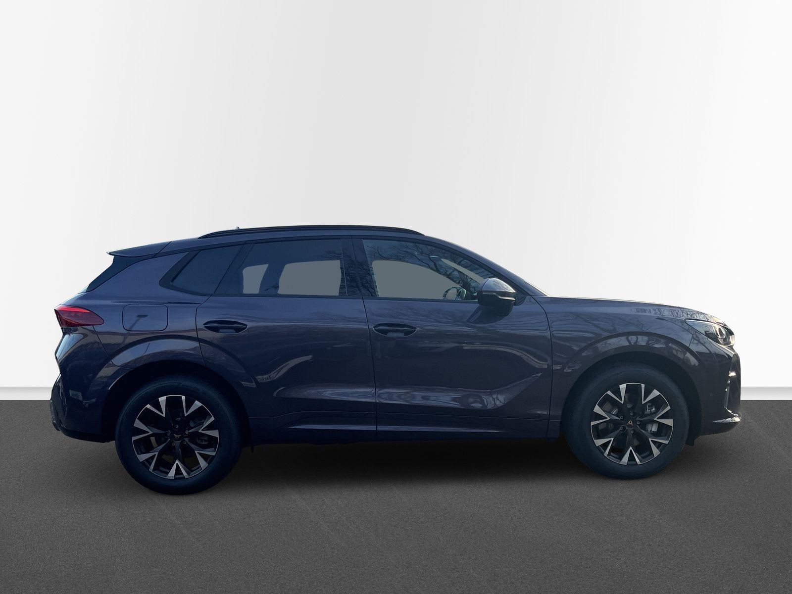 Cupra Terramar - Bild 6