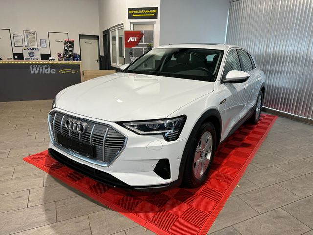 Audi e-tron 50 quattro Pano Leder Matrix LED 360'