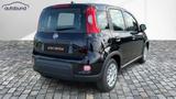 Fiat Panda 1,0  Hybrid (MHEV) Pandina Base NBA PDC SH - Fiat Panda Gebrauchtwagen in Berlin