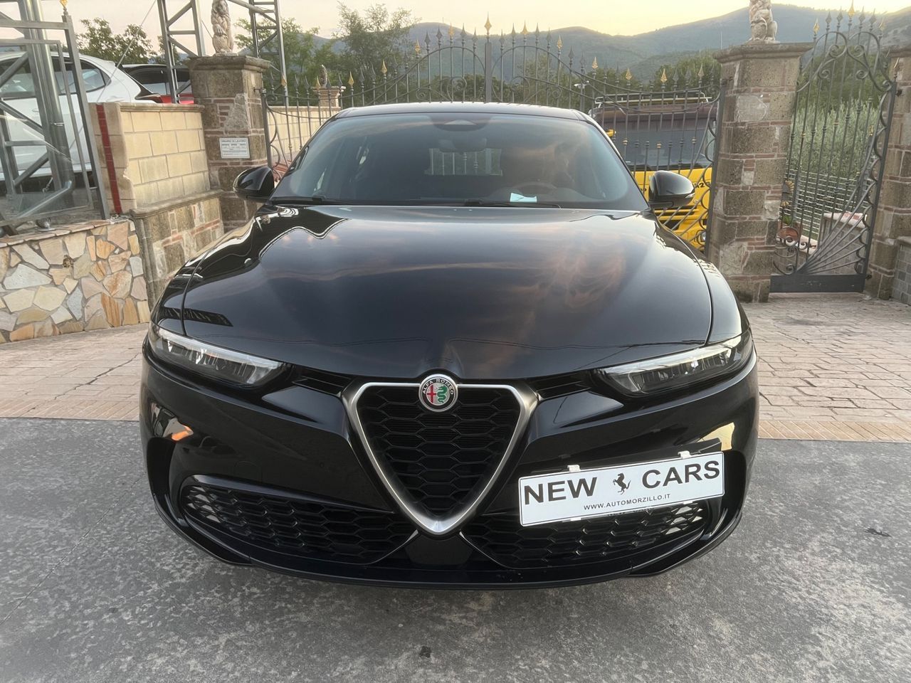 Other Alfa Romeo Tonale 1.6 diesel 130 CV TCT6 Sprint