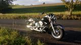 Harley-Davidson Heritage Softail Classic - Evo - HARLEY-DAVIDSON 1996 SOFTAIL