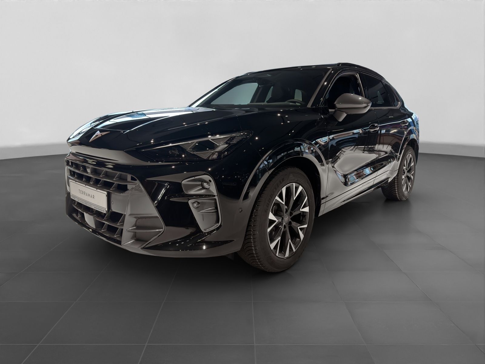 Cupra Terramar - Bild 2