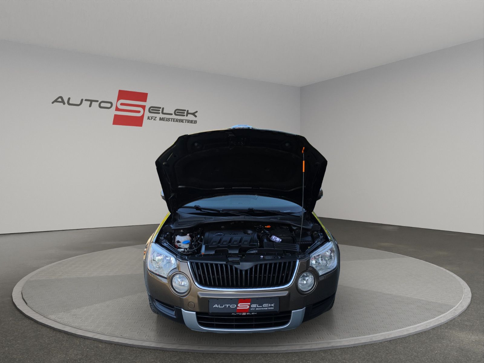 Fahrzeugabbildung SKODA Yeti TDI Ambition Plus Edition 4x4 ALLRAD TEMPOM