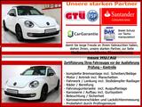 Volkswagen Beetle Cup / Sportpaket / Aut / Panorama / Navi - VW Beetle Gebrauchtwagen in Berlin