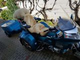 Honda GoldWing Trike GL1500 SE-EML - GEBRAUCHT 1500 GOLDWING