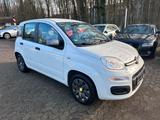 Fiat Panda Young KLIMA NUR:85.000 KM - Fiat Panda: Km 0