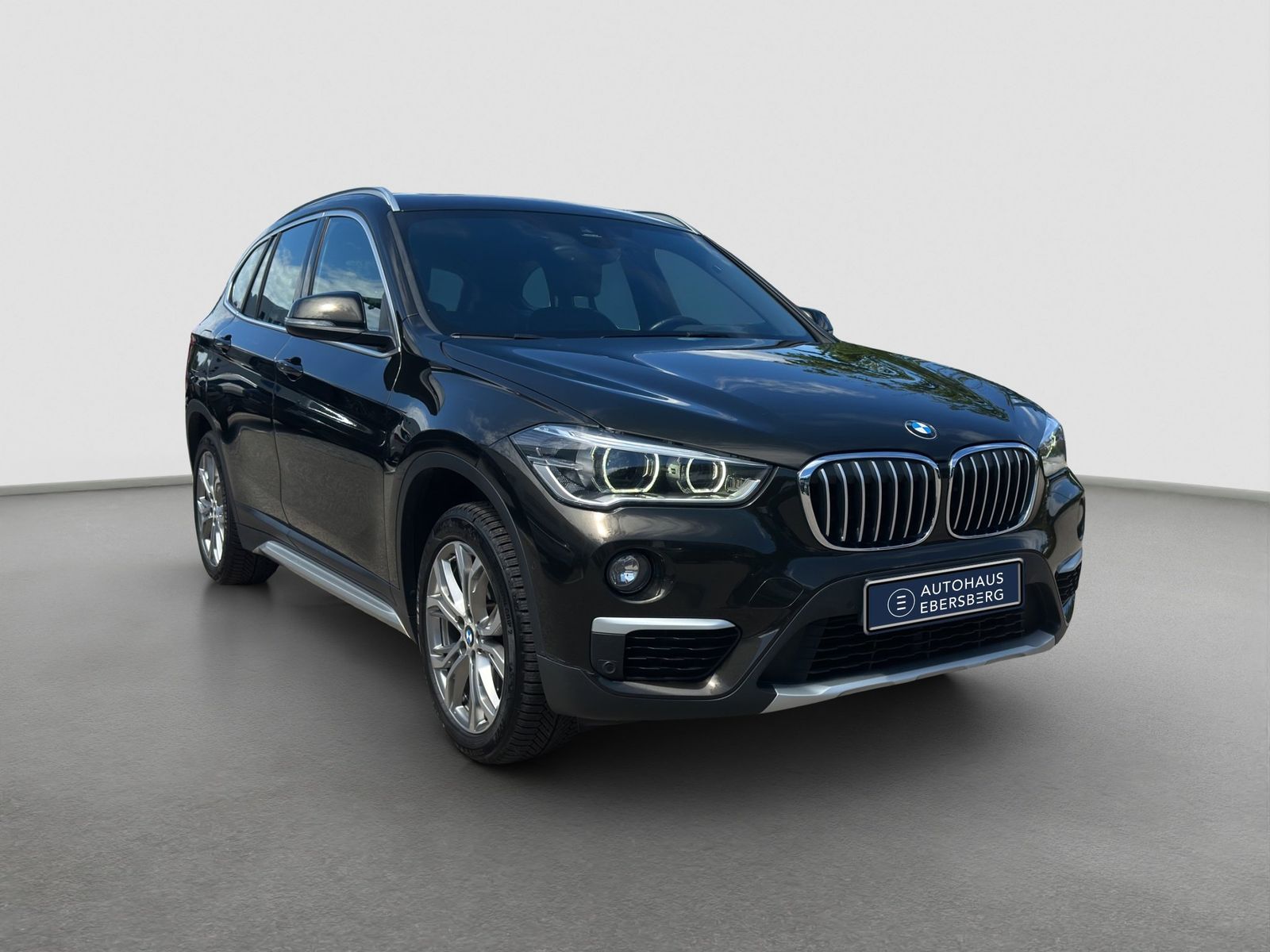 BMW X1 xDrive18d Business Pano Navi SHZ PDC foto 4