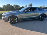 Ford Mustang - gebrauchte Ford Mustang aus dem Jahr 2014