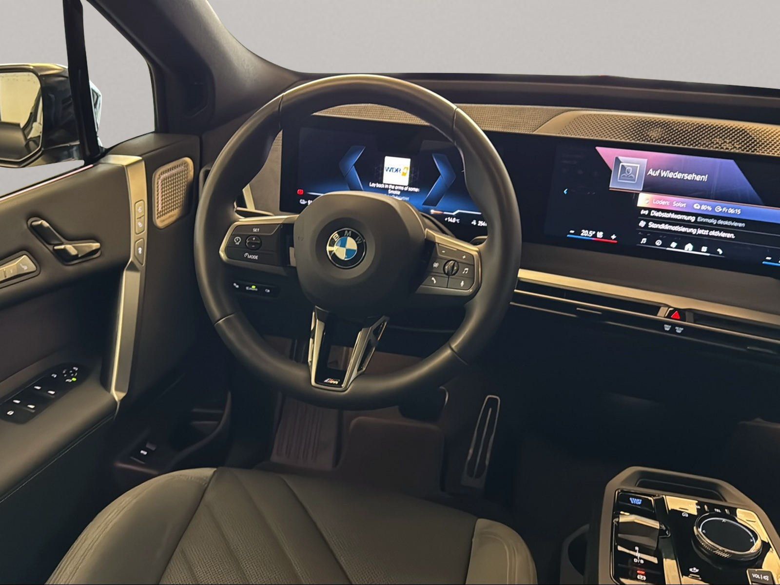 BMW iX - Bild 18