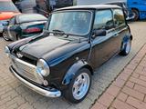 Rover Andere - Rover aus 1993
