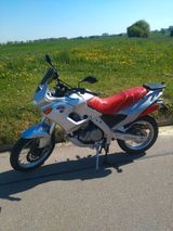Aprilia Pegaso 650 ML - APRILIA PEGASO 650