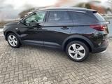 Opel Grandland X 1.6 Turbo Ultimate LED CarPlay 360°  - Opel Grandland (X) Turbo Gebrauchtwagen