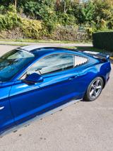 Ford Mustang 3.7L V6 - Ford Mustang: Coupe, V6