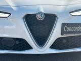 Alfa Romeo Giulia Super/Temp/PDC/RFK/SHZMFL - Alfa Romeo Giulia: Limousine