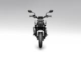 Honda CB 1000 F !!! MODELL 2026 ! JETZT VORBESTELLEN ! - HONDA CB 1000