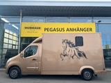 Renault Master 2 Pferdetransporter Hengstausstattung 3,5 - Tier- & Pferdetransport für 2 Pferde
