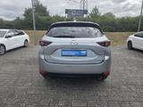 Mazda CX-5 2.5 SKYACTIV-G 194 Sports-Line AWD (EU6d-T) - Mazda CX-5 Gebrauchtwagen