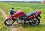 Honda CB500 | 58 PS | 11.000 km | TÜV neu | Top  - HONDA 1996 CB500