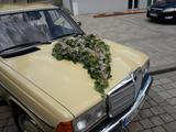Mercedes-Benz W 123  Oldtimer  H -Zulassung Zustand - 1   - Mercedes-Benz Gebrauchtwagen von 1978