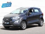Ford Ecosport 1.0 EB Titanium Navi Teilleder - graue Ford EcoSport