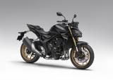 Honda CB1000 Hornet SP 2025 Modell jetzt vorbestellen - HONDA CB1000 HORNET SP