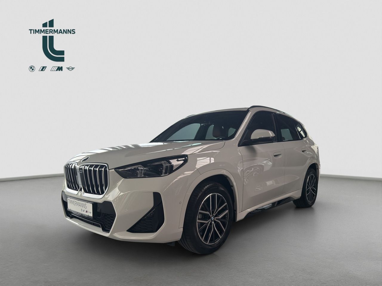 BMW X1 xDrive20d Steptronic Navi DSG Tempom.aktiv foto 1
