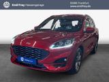 Ford Kuga 2.0 EcoBlue Aut. ST-LINE - Ford Kuga mit Diesel-Antrieb: Geländewagen