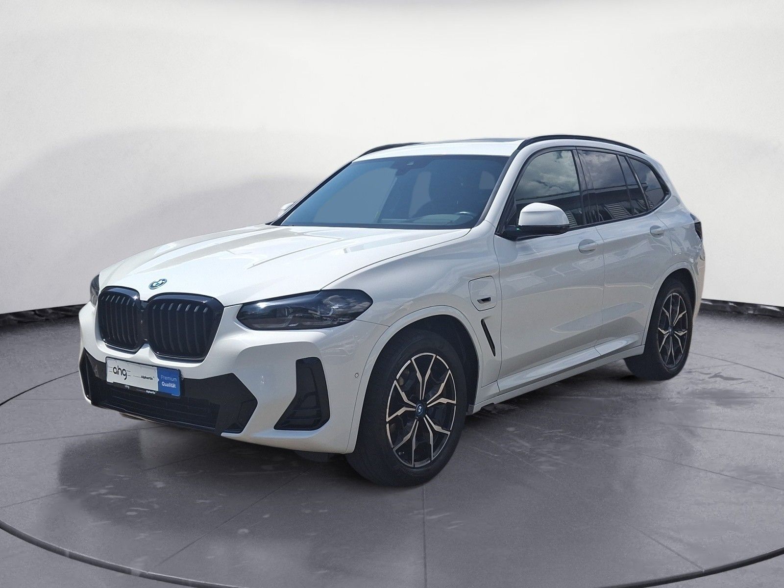 BMW X3 xDrive30e AT M Sportpaket Sport Aut. EDC AHK foto 2