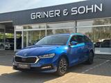 Skoda Octavia Clever,Winter,Massage,R-Kamera,Kessy.