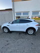 Jaguar E-Pace D180 4WD Auto - Top Zustand!! - gebrauchte Jaguar E-Pace aus dem Jahr 2021