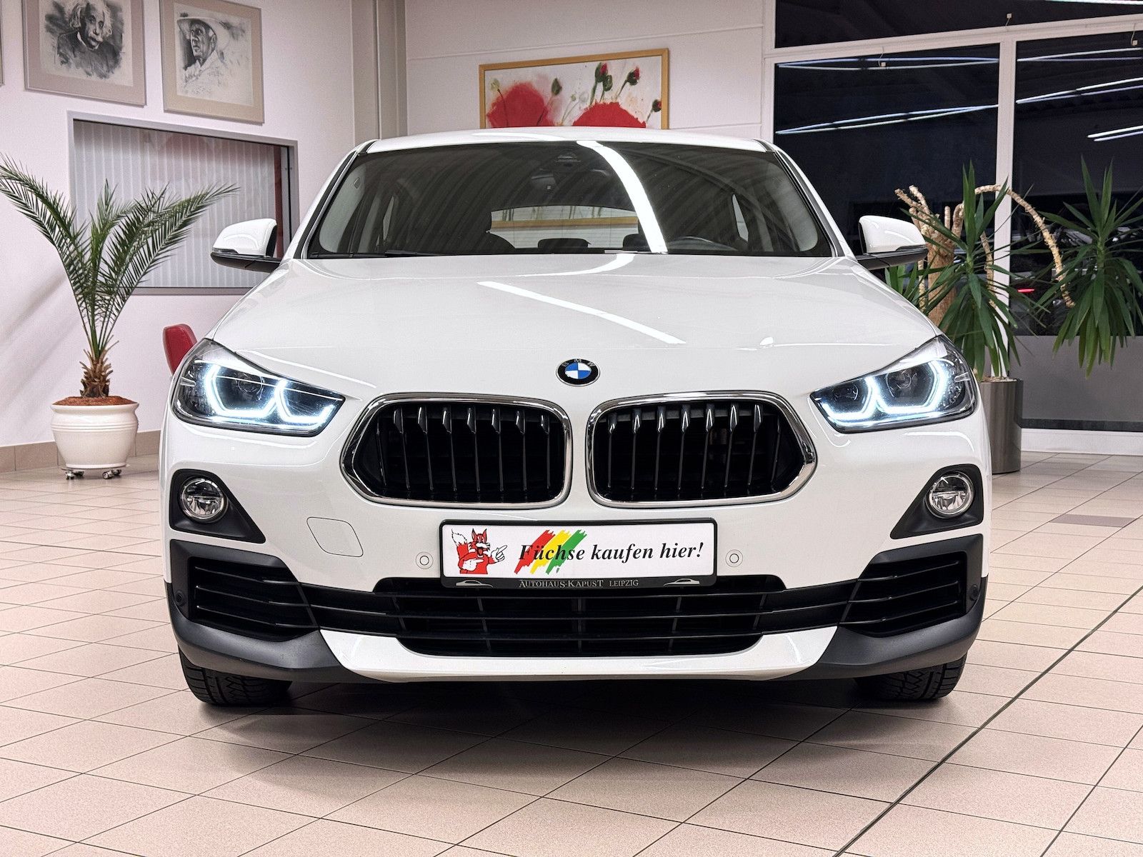 Fahrzeugabbildung BMW X2 xDrive 20i /LED/Navi/Ahk/VZE/Park-Ass