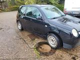 Volkswagen Lupo 3L TDI Standard - Volkswagen Lupo: TDI