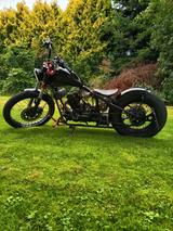 Other Bramos Brook Bobber 125 - Offers