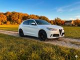 Alfa Romeo Stelvio 2.9 Bi-T. V6 375kW Quadrifoglio AT8-... - Alfa Romeo: Quadrifoglio