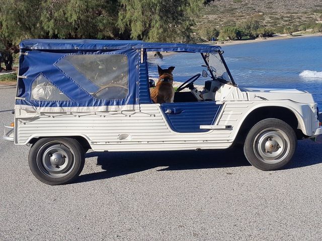 Citroën Citroen Mehari