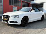 Audi A5 Cabriolet 1.8 TFSI S Line Navi - Audi A5: Weiß