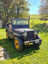 Jeep Willy Jeep - Jeep Willys mit Diesel-Antrieb