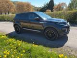 Andere Range Rover Evoque Pure 2.0 TDI STEUERKETT... - Andere: TDI