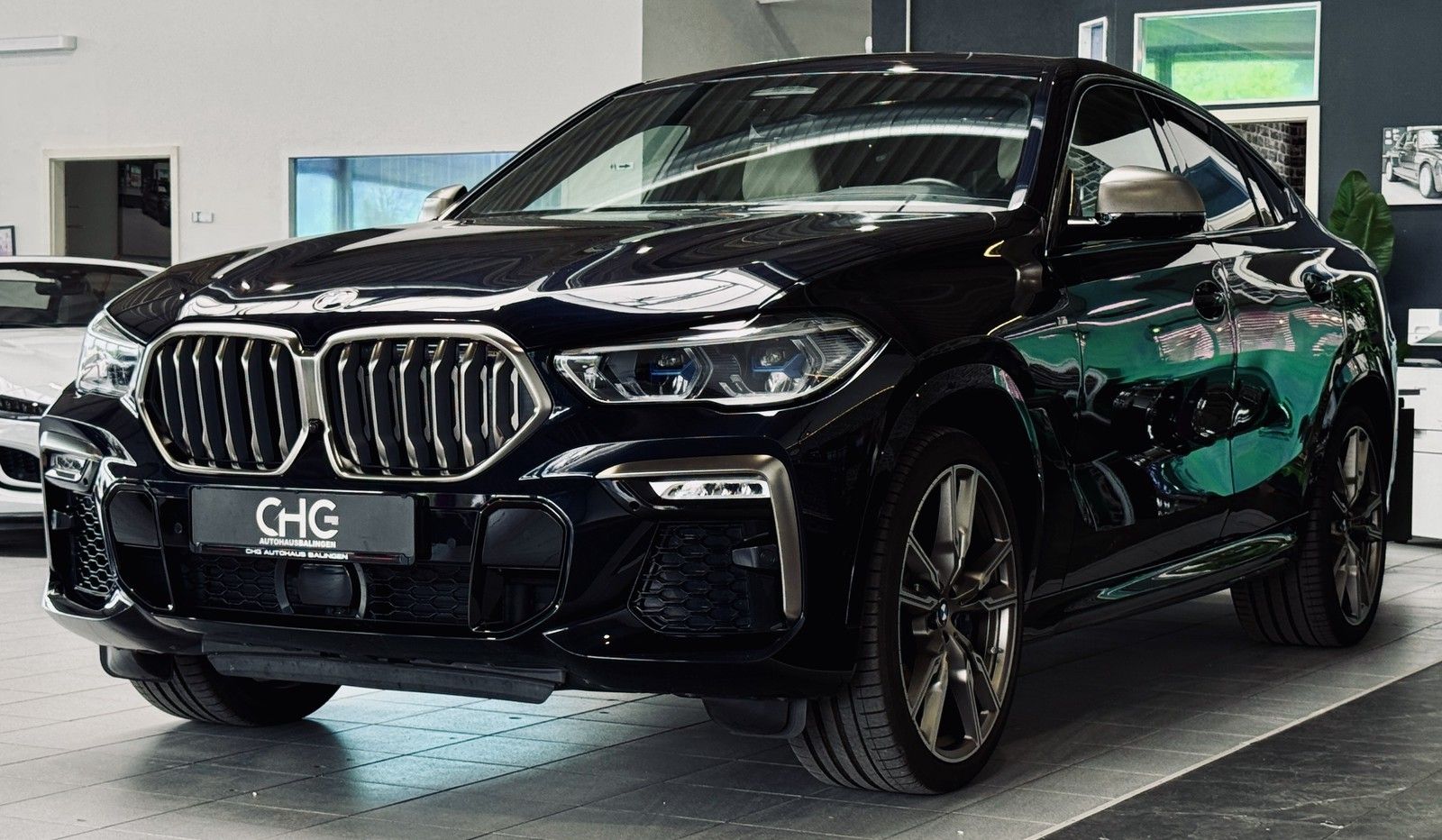 BMW X6 M50 i Bowers & Wilkins ACC PANO HUD LED foto 3