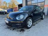 Volkswagen Beetle Lim. Basis - Volkswagen Beetle in Hannover