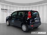 Fiat Pandina 1.0 GSE Hybrid 48 kW Icon - schwarze Fiat New Panda