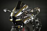 Kawasaki ZX10RR Final Edition Nr.1 of 5 ,,ww. RSI-HP218 - Kawasaki W 1-2