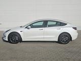 Tesla Model 3 SR RWD + 8fach bereift + Ambientebel.  - Tesla aus 2022
