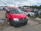 Volkswagen Caddy Life Gewinner Caddy KLIMA - Volkswagen Caddy: Gewinner