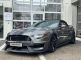 Ford Mustang GT 5.0 PERF. PACK/SPORT AGA/SHELBY PACK - Ford: Shelby