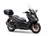 Honda NSS Forza 125 SE - Tageszulassung - - HONDA FORZA 125